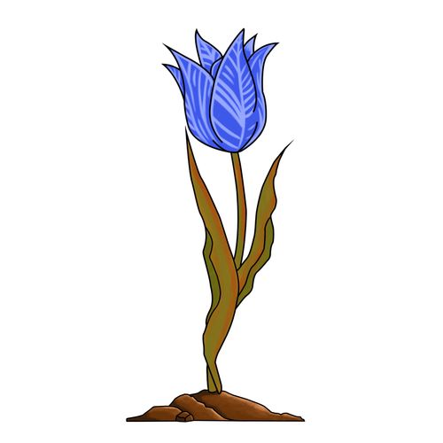 Product 8